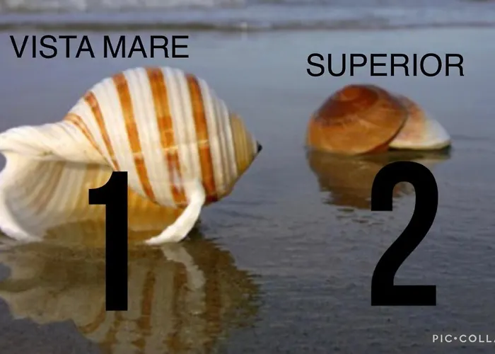 La Conchiglia A Marina